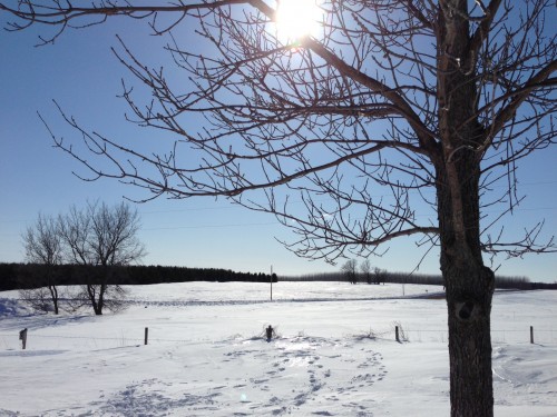 travel-minnesota-winter