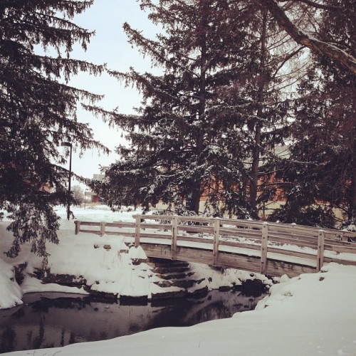 snowy-bridge