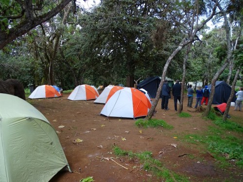 1st campsite