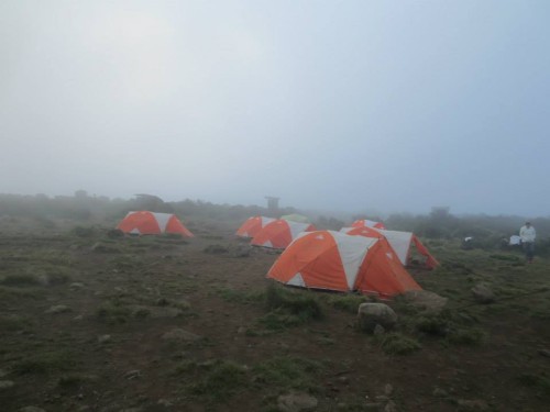 foggy-camp